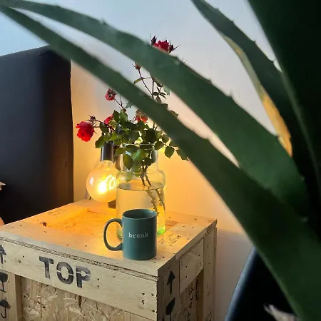 Nuovissimo: La Casa Bolognese