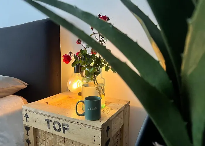 Nuovissimo: La Casa Bolognese