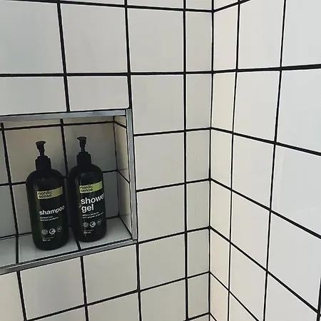 Nuovissimo: La Casa Bolognese *