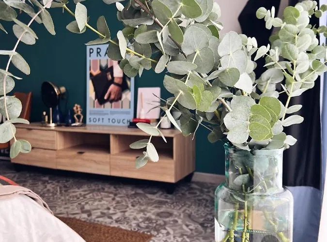 Nuovissimo: La Casa Bolognese